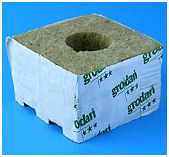  - Grodan Delta 6,5, Kulturblock, großes Loch 40/35*1 MID, 10 x 10 -  