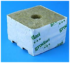  - Grodan Delta 6,5, Kulturblock, kleines Loch 27/35*1 MID, 10 x 10 -  