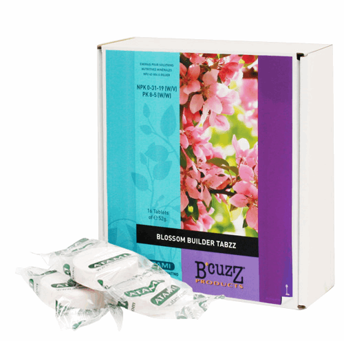  - Atami B'cuzz Tabzz, Blütenwachstum, 16 St -  