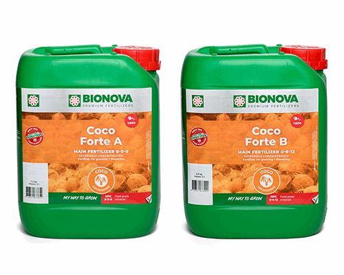  - BIO NOVA Coco Forte A und B, 1:500, je 5 L -  