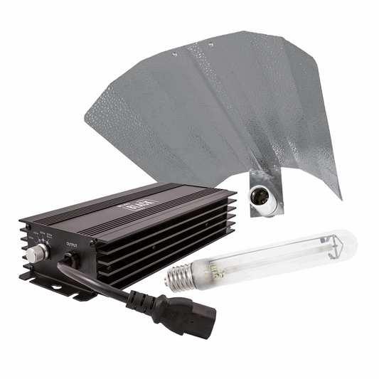  - Beleuchtungsset,LUMii Black elektronisches Vorschaltgerät, 600 W, HPS Lampe 600 W, Reflektor, 1st -  