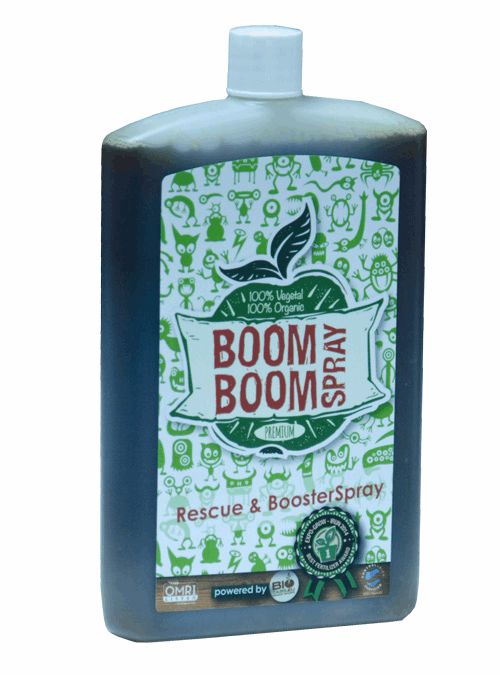  - BioTabs Boom Boom Spray 250ml -  