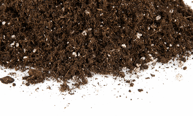  - Biobizz LIGHT-MIX mit Perlite, 50 L -  