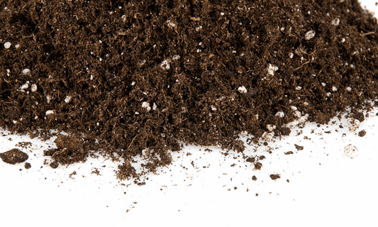  - Biobizz LIGHT-MIX mit Perlite, 50 L -  