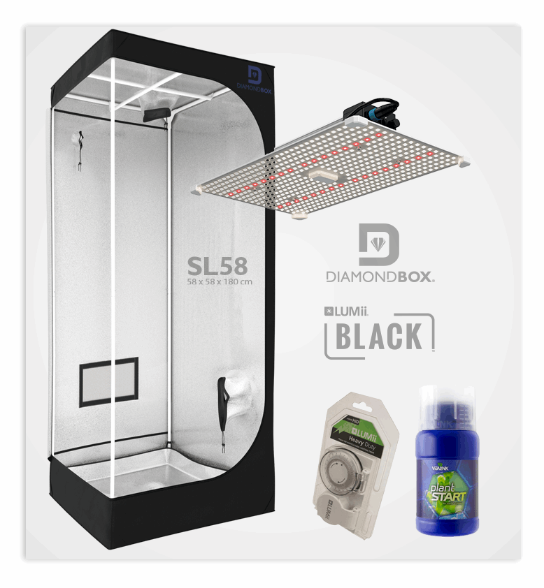  - LED / Box Growset 58 x 58 cm -  