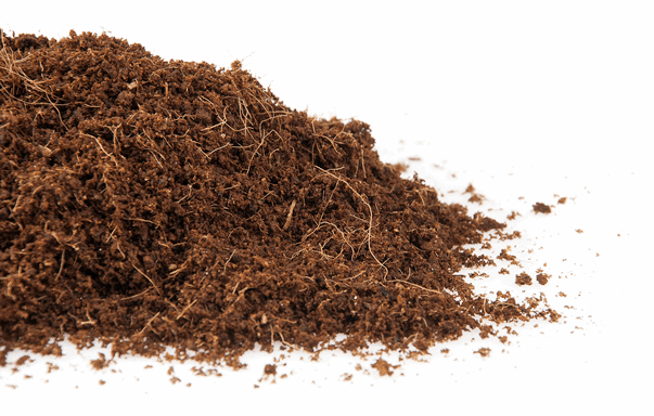  - CANNA Coco Professional Plus, Substrat, 50 L -  