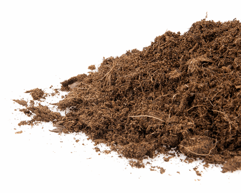  - CANNA Terra Professional Plus, Substrat, 50 L -  