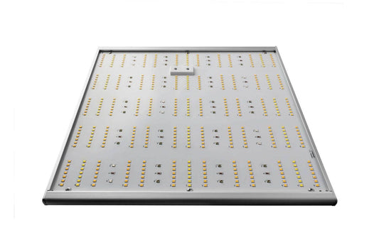  - Caluma LED Force 150 W -  