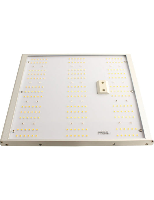  - Caluma LED Force 75 W -  