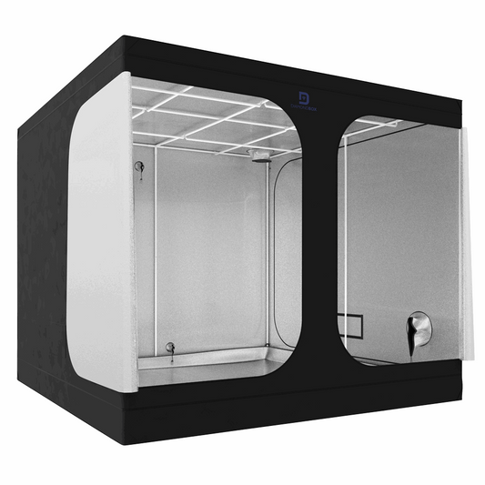  - DiamondBox Silver Line SL240, 240x240x200, bestehend aus 2 Paketen -  