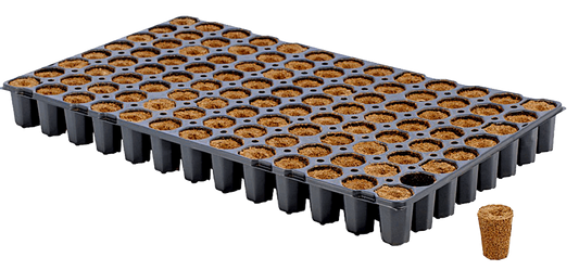  - Eazy Plug CT104CF, Stecklingsblöcke, Tray zu je 104 Blöcke -  