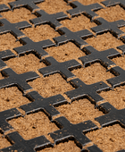  - Eazy Plug®, Stecklingsblöcke, Tray à 77 St., 3,5 x 3,5 cm -  