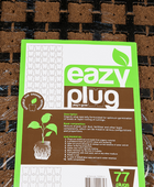  - Eazy Plug®, Stecklingsblöcke, Tray à 77 St., 3,5 x 3,5 cm -  
