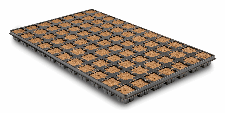  - Eazy Plug®, Stecklingsblöcke, Tray à 77 St., 3,5 x 3,5 cm -  