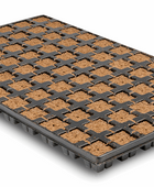  - Eazy Plug®, Stecklingsblöcke, Tray à 77 St., 3,5 x 3,5 cm -  