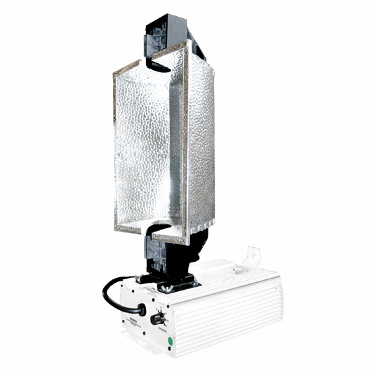  - Elektrox Protheus DE1000, Armatur inkl. Reflektor -  