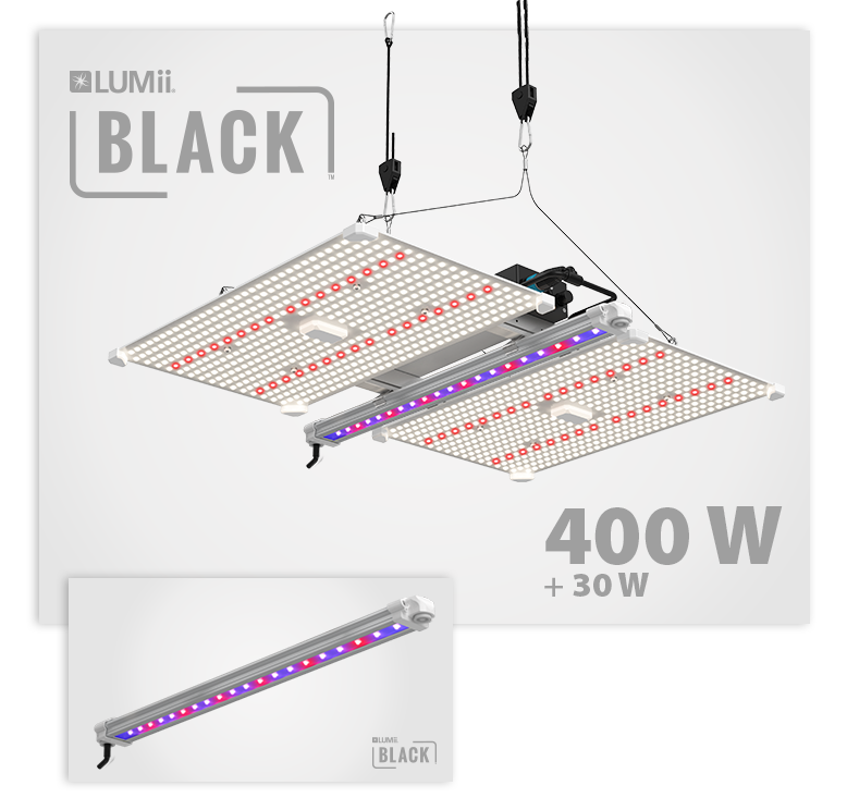  - Lumii Black, Blade 400W LED + 30W UV/FR LED-Leiste, Bundle -  