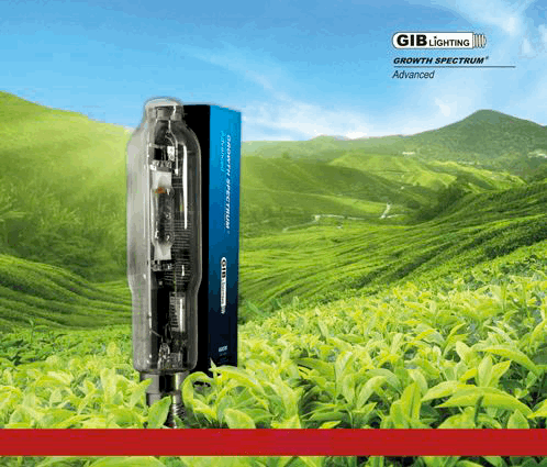  - GIB Lighting Growth Spectrum Advanced MH Lampe, 150 W -  