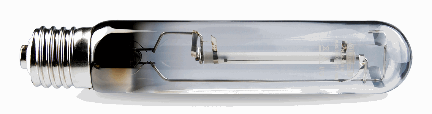  - GIB Lighting Pure Bloom Spectrum XTreme Output HPS Lampe, 250 W -  