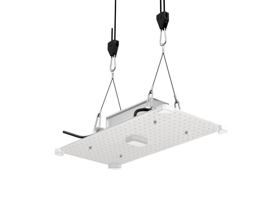  - LUMii Black Blade 100 W LED -  