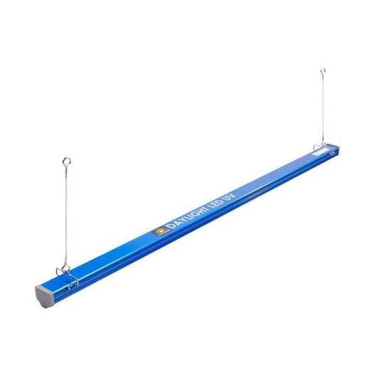  - Maxibright | Daylight | UVA + UVB | 60 Watt -  