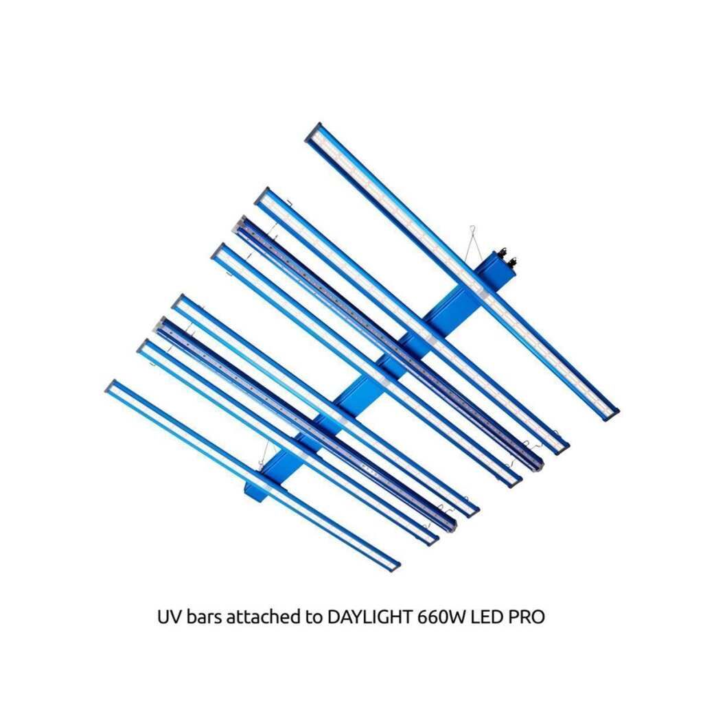  - Maxibright | Daylight | UVA + UVB | 60 Watt -  