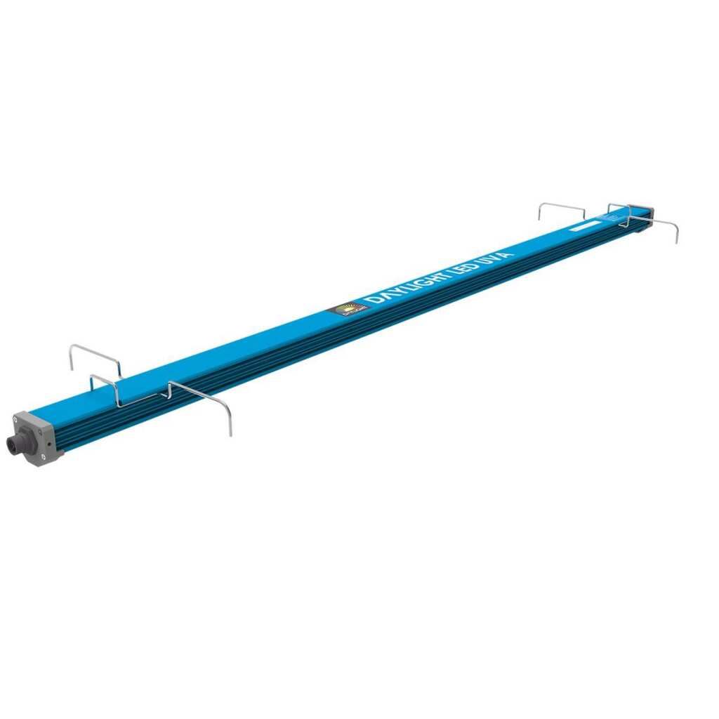  - Maxibright | Daylight | UVA + UVB | 60 Watt -  