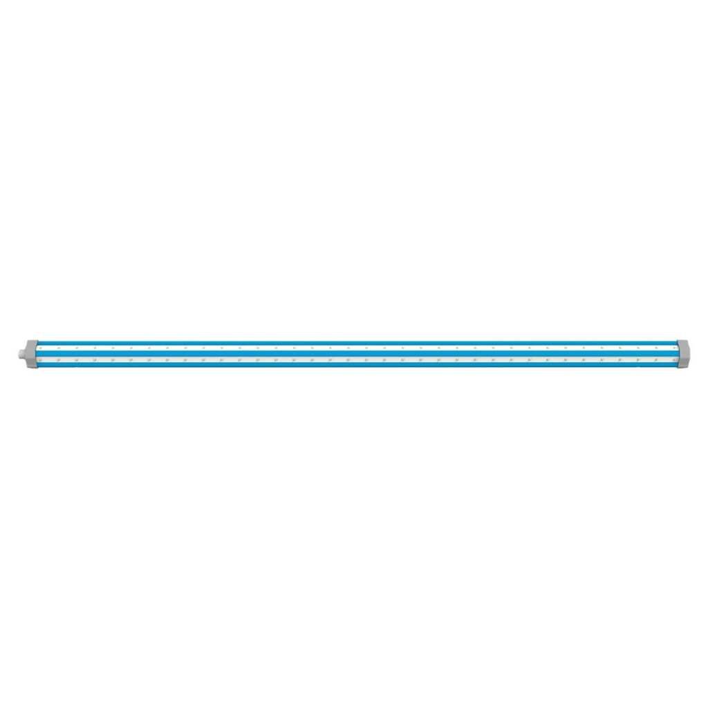  - Maxibright | Daylight | UVA + UVB | 60 Watt -  