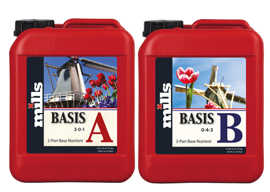 - Mills Basis A und B, 5 L -  