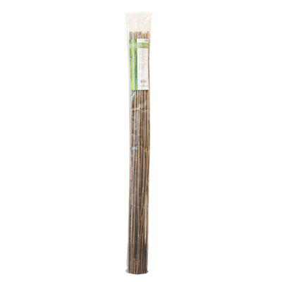  - PLANT!T Bambusstock, 120 cm, Bndl zu 25 Stk -  