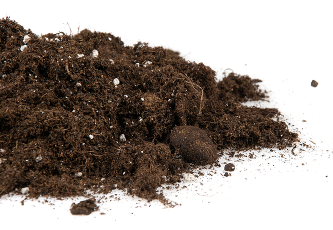  - Plagron Bat-mix, enthält Perlite, 50 L -  