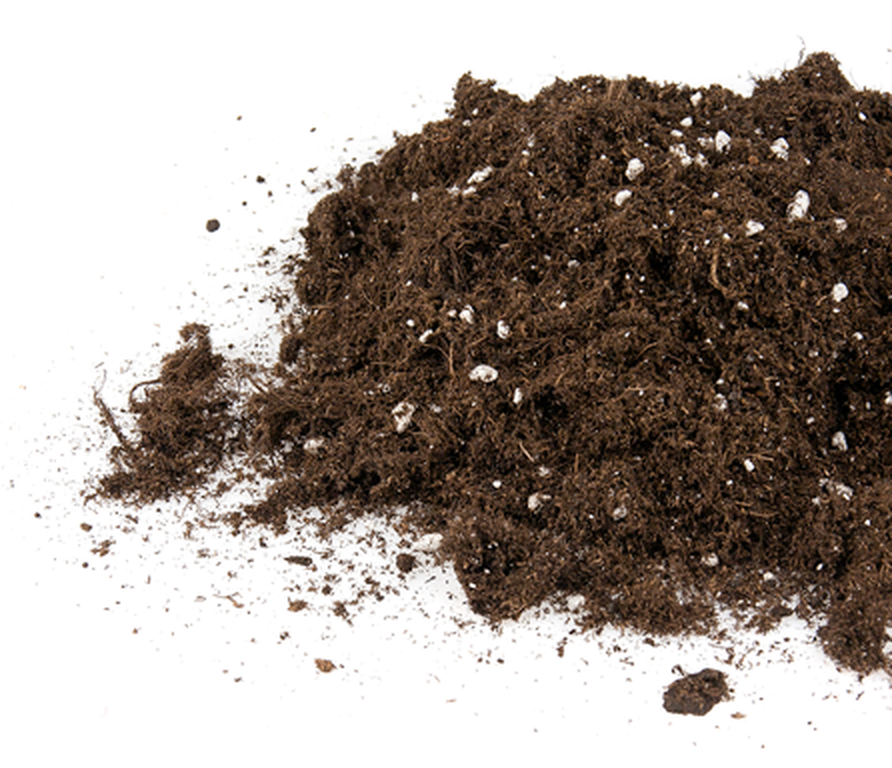  - Plagron Bat-mix, enthält Perlite, 50 L -  