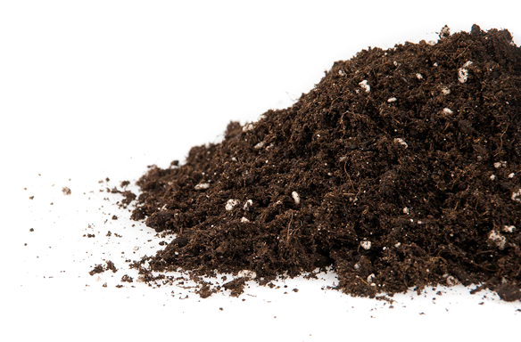  - Plagron Light-mix, enthält Perlite, 50 L -  