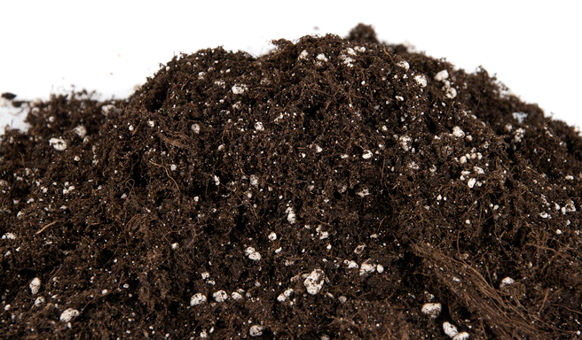  - Plagron Royal-mix, enthält Perlite, 50 L -  