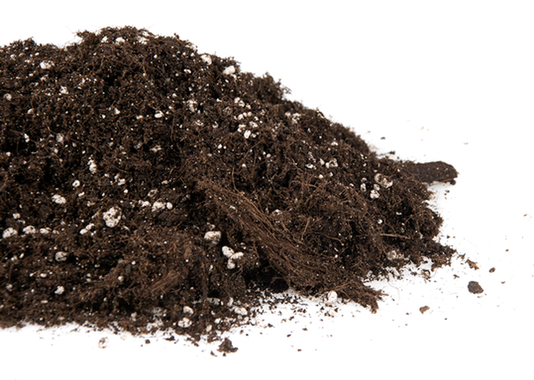  - Plagron Royal-mix, enthält Perlite, 50 L -  
