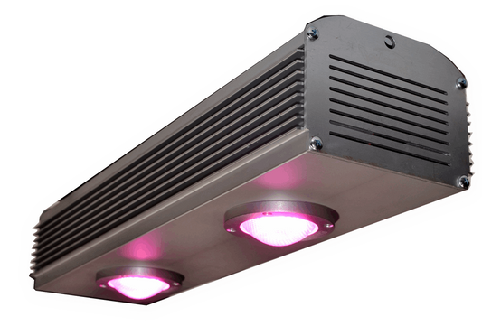  - PlantLED Bonum, LED-Leuchte, 200 W -  