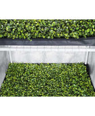  - Propagator | Anzuchtbox L | 60x40x200cm | Garden Highpro -  