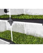  - Propagator | Anzuchtbox XL | 120x40x200cm | Garden Highpro -  