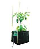 - PLANT!T Dirt Pot/ Stofftopf, quadratisch, 37 L, Pckg zu 5 St -  