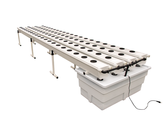  - T.A. GrowStream80 (V2), aeroponisches System, 80 Pflanzen -  