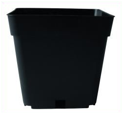  - TEKU Topf, viereckig, stabil, 13 x 13 x 13 cm, 1,55 L -  