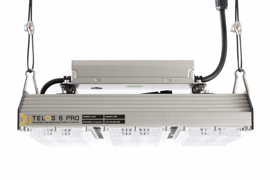  - TELOS 6 PRO, LED Grow Light, 175 W -  
