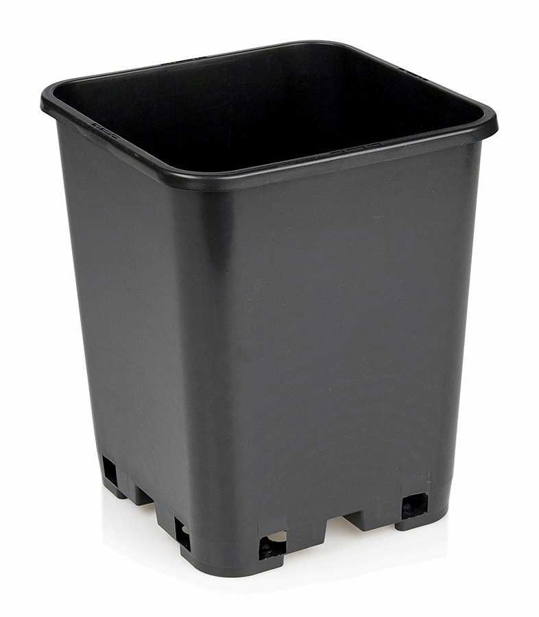  - Topf, viereckig, schwarz, 18 x 18 x 23 cm, 6 L -  