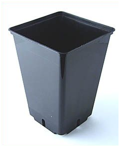  - Topf, viereckig, schwarz, 18 x 18 x 25,5 cm, 5,5 L -  