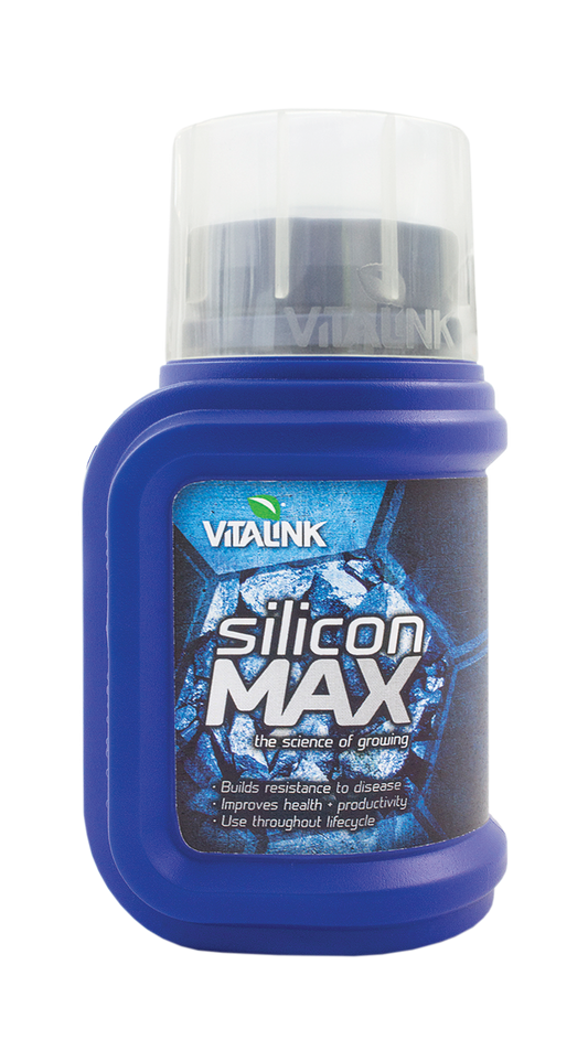  - VitaLink Silicon MAX, 0,25 L, EN -  