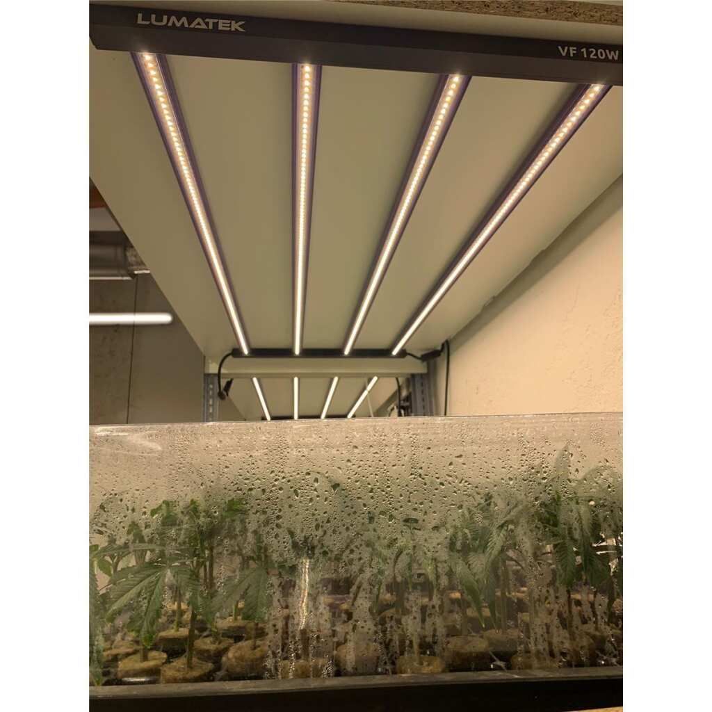  - Lumatek | 120W Anzucht LED-Lampe | Sämlinge | Stecklinge | Vertical Farming | 120 Watt | 308 µmol/s -  
