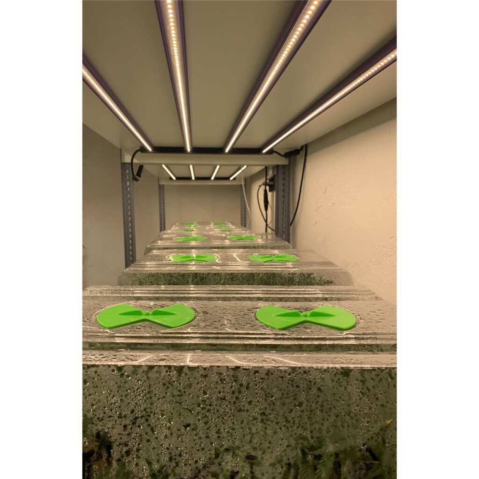  - Lumatek | 120W Anzucht LED-Lampe | Sämlinge | Stecklinge | Vertical Farming | 120 Watt | 308 µmol/s -  